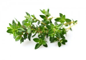 Thyme spice