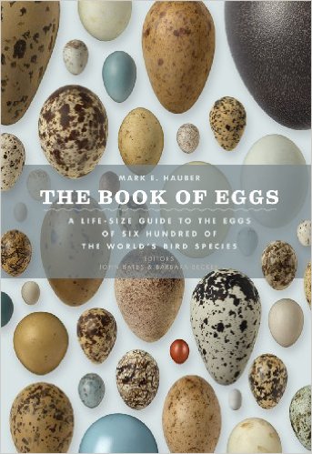 the-book-of-eggs-mark-e-hauber