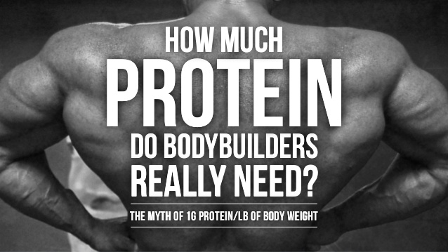 protein myths