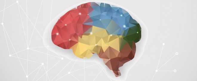 The Definitive Guide to the Best Nootropics & Cognitive Enhancers