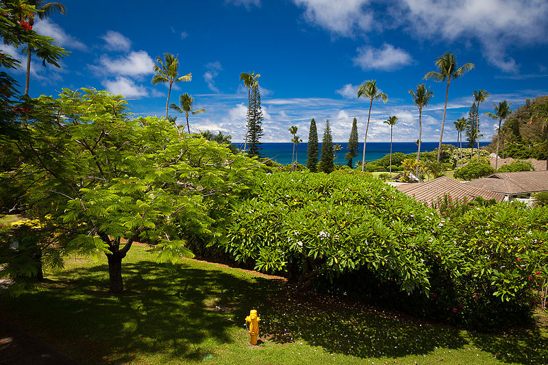 1. Hana-Maui-Hawaii