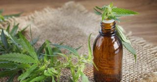 Give You Grandma Even More Love: The Top Natural Benefits of CBD to Senior Citizens