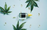 6 Healthy Ways to Jumpstart Your Day With CBD