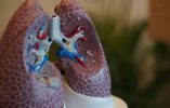 Key Tips to Boost Your Lung Health